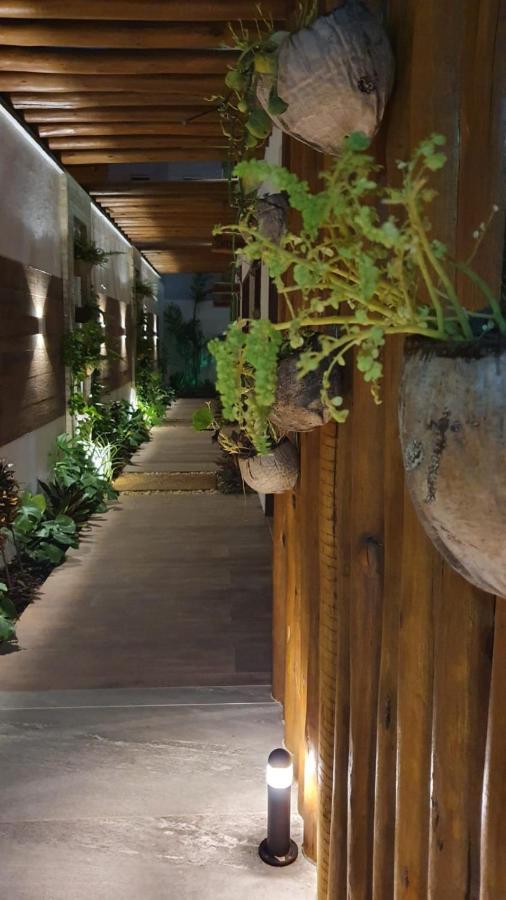 Suites Jardins De פלשייראס מראה חיצוני תמונה